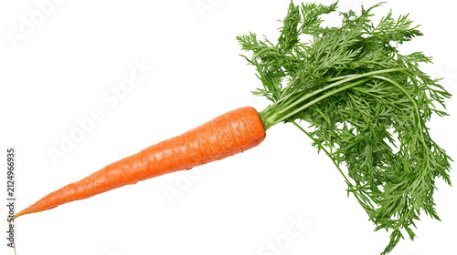 Obraz na płótnie Fresh orange carrot with vibrant green leafy tops, isolated on transparent backg