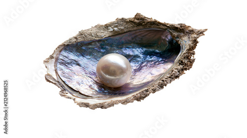 Obraz na plátne Single lustrous pearl nestled inside a rough oyster shell, isolated on transpare