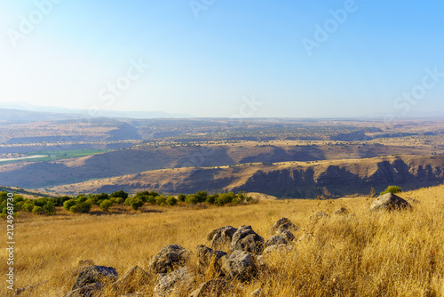 Summer view of the slopes of the Golan Heights