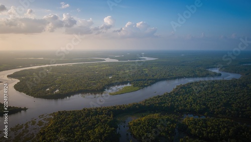Aerial View of Lush Green River Delta under a Clear Blue Sky