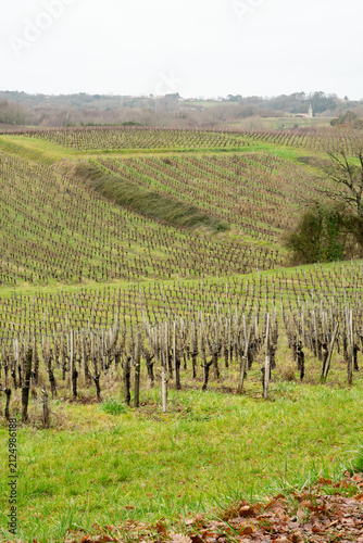 Dormant Vineyard and Rural Estate in Lansac, Bordeaux Wine Region
