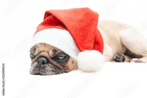 Cute Pug Dog Wearing a Santa Hat on White Background with Copy Space