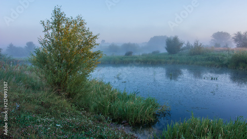 Foto A misty morning landscape featuring a calm river surrounded by lush green grass,