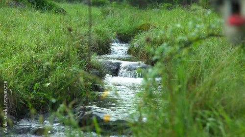 Small mountain stream flowing through green grass