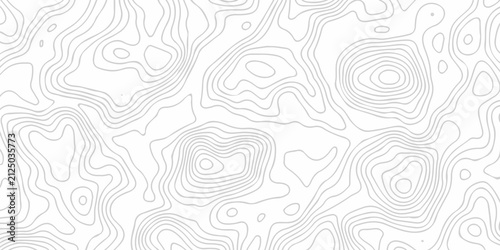 Black and white lines seamless Topographic map patterns, topography line map. Vintage outdoors style. The stylized height of the topographic map contour in lines and contours isolated on transparent.