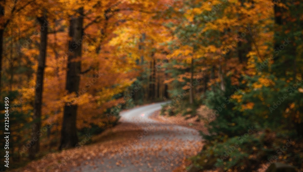 Fototapeta premium Curvy Road Through Autumn Forest with Blurry Background