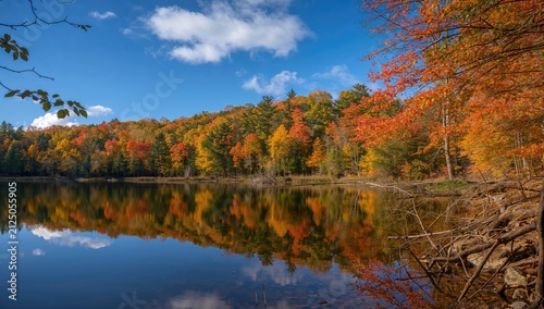Autumn Forest Reflections on a Tranquil Lake under Blue Sky