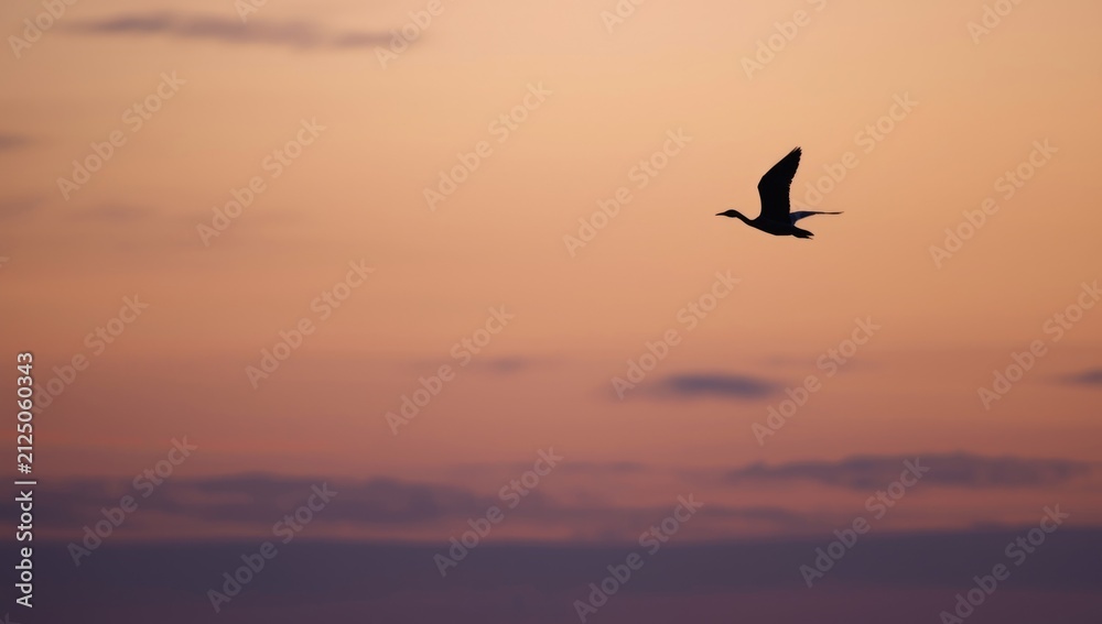 Fototapeta premium Silhouette of a Bird Flying Against a Soft Pastel Sunset Sky