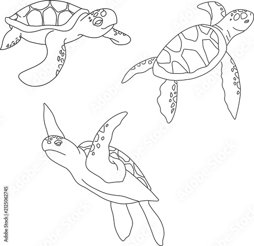 Sea Turtle and Fish Vector Illustration Set for Ocean Marine Life, Cartoon Animal Design, Underwater Nature Pattern, Tattoo, Logo and Decorative Artwork