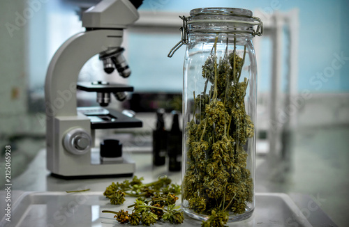 A glass jar filled with dried cannabis flowers sits on a lab table next to a microscope and small dropper bottles, illustrating scientific research