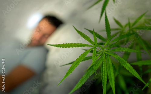 A green cannabis plant leaf in sharp focus in the foreground with a blurred man sleeping peacefully in bed in the background, illustrating medical marijuana for sleep and relaxation