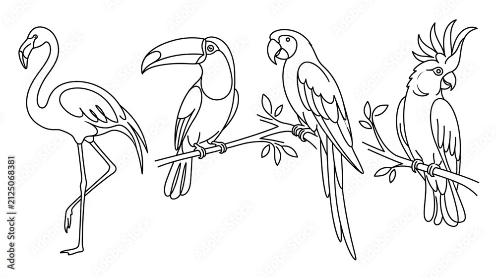 Naklejka premium Set of hand drawn tropical birds including flamingo toucan parrot and cockatoo in outline style.