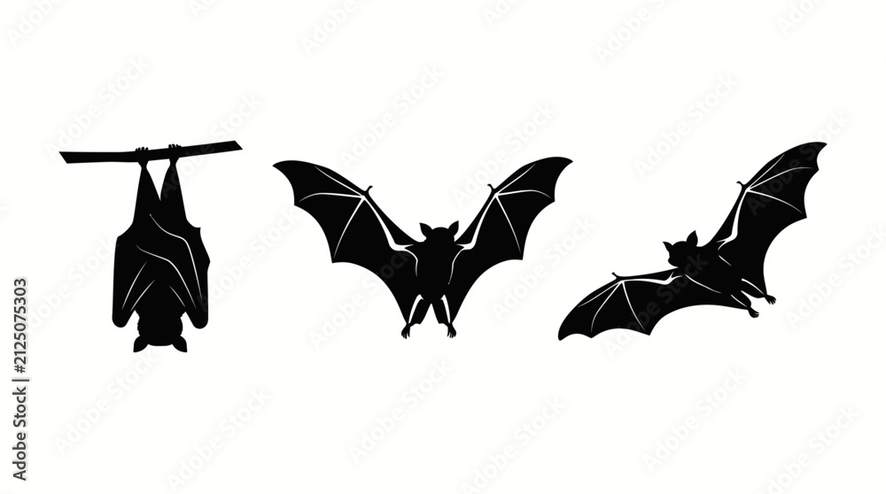 Fototapeta premium Set of Three Black Bat Silhouettes Hanging and Flying for Halloween Design Isolated on White Background