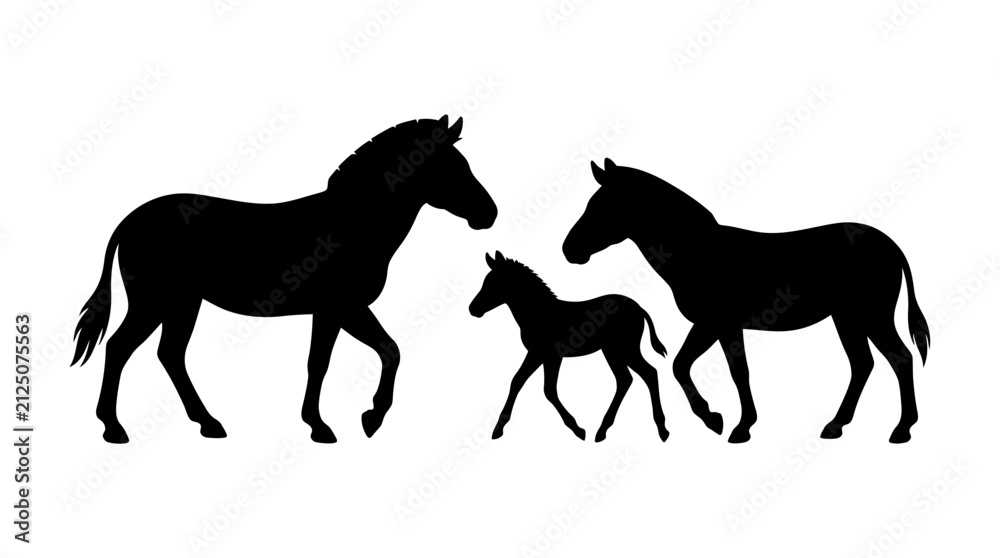 Obraz premium Black Silhouette of a Zebra Family with Two Adults and One Foal Walking on a Plain White Background