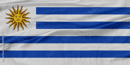 Uruguay Flag Wind Waves Fabric in Breeze