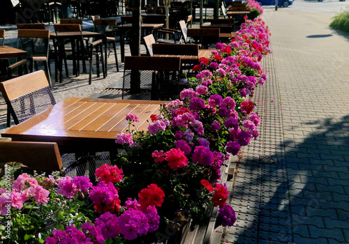 outdoor seating of restaurant lined with bright flower boxes with blooming geraniums Pelargonium. pink, purple red flowers, reminiscent of classic balcony geraniums. Wooden garden furniture tables cha