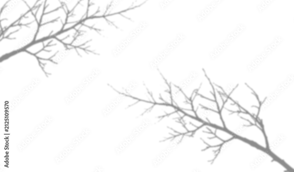 Fototapeta premium Shadow of tree branches isolated on transparent background
