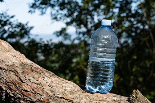 Plastic water bottle placed on inclined tree trunk in forest outdoors