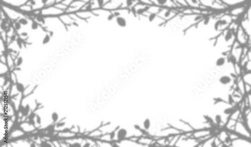 Obraz na plátne Shadow overlay of tree branches and leaves isolated on transparent background
