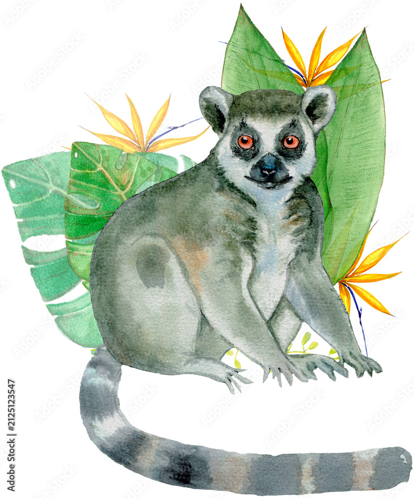 Fototapeta premium Watercolor painting of a lemur