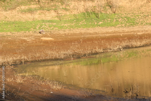 Paisagens naturais, montanhas, lago, árvores, natureza.