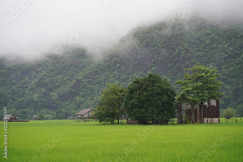 Morning mist over rice fields and rural landscape in Kong Lor Village, Khammouane Province, Laos