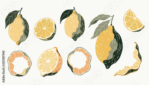 Bild auf Leinwand Hand Drawn Lemon Slices and Whole Fruits for Summer Design