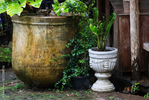 Large weathered terracotta planter and ornate stone urn with green potted plants beside wooden steps, rustic garden scene with mossy cobblestone ground and leafy foliage creating calm charm