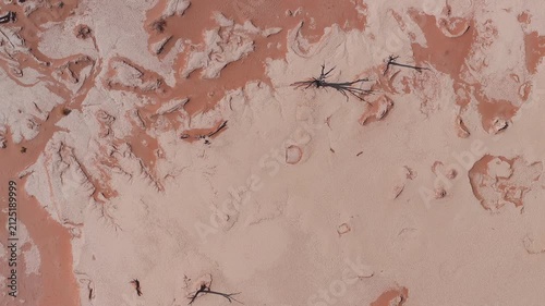 Aerial top down view of Deadvlei in Sossusvlei, Namibia shows white polygonal salt crust, orange sand intrusions, and black camel thorn trees with long shadows.