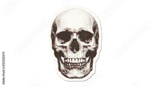 Cuadro en lienzo Human skull illustration with halftone dot pattern