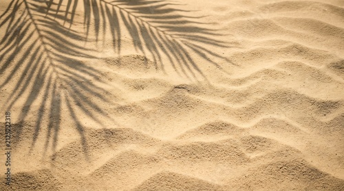 Top view of beautiful beach sand with tropical palm leaf shadow for a relaxing summer vacation background design concept