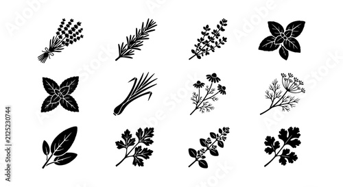 Herbal Spices Collection, Culinary Herbs Vector Icons, Aromatic Plant Sprigs Set