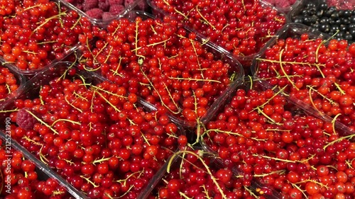 Fresh Red Currants and Berries in Plastic Boxes at Market