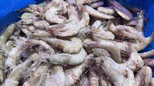 Frozen Shrimp Packed in Blue Plastic Container