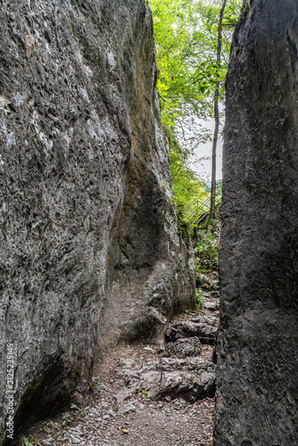 Stone Passage to Forest Trail