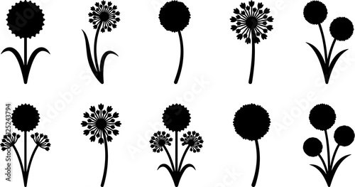 Flower silhouette icons line art, botanical artwork illustration, ornamental bloom design graphics, nature sketch outline, decorative floral artwork