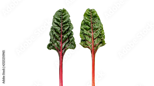 Two vibrant fresh organic swiss chard leaves featuring dark green crinkled foliage and bright crimson stems captured in a studio setting isolated on transparent background