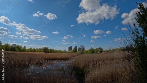 Time-lapse shot showing cloud shadows passing fast over the ground and bright blue sky reflected like a mirror in the calm water at Vacaresti Nature Park in spring.