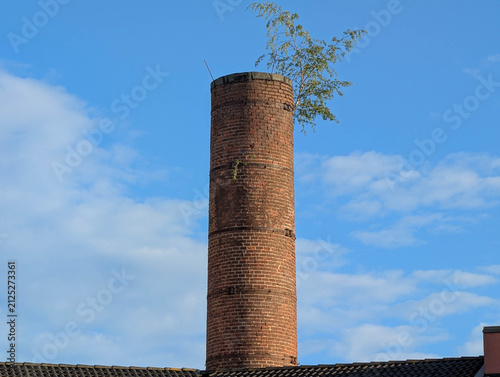 Der Schornstein an der Buschmühle mit Bewuchs