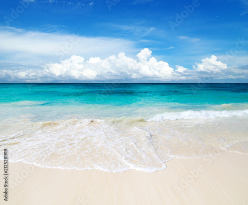 beautiful beach and tropical sea