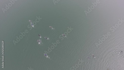 Drone aerial video of swimmers crossing the crystal-clear waters of Laguna Azul during the Desafío a los Volcanes event in Patagonia, Argentina. Endurance sports, adventure and stunning volcanic scene