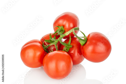 Red tomatoes on a branch isolated on a white background, close-up.