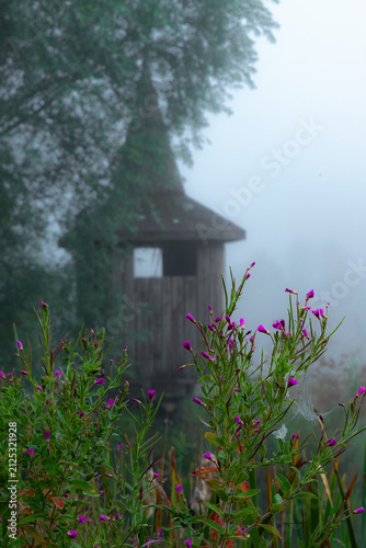 Hut in the forest on a misty morning