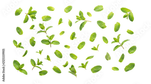 Fresh green mint leaves falling on white background, organic peppermint sprigs pattern, aromatic herbal tea ingredients for healthy lifestyle