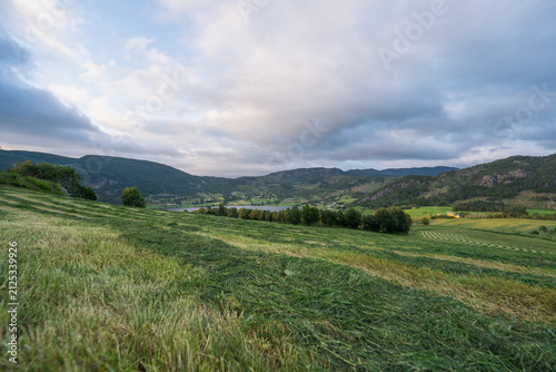 Принти на полотні Aerial view of a lush green rural landscape with mown grass fields, rolling hills, and a distant lake under a cloudy sky in Hjelmelandsvagen, Rogaland, Norway
