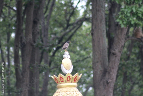 Foto The image captures the elegance of the temple, intricate details, traditional design, and the peaceful essence of Buddhist culture