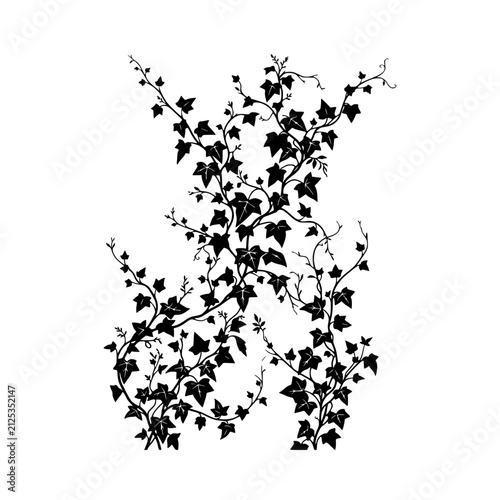 Ivy vine branches intricate black silhouette illustration
