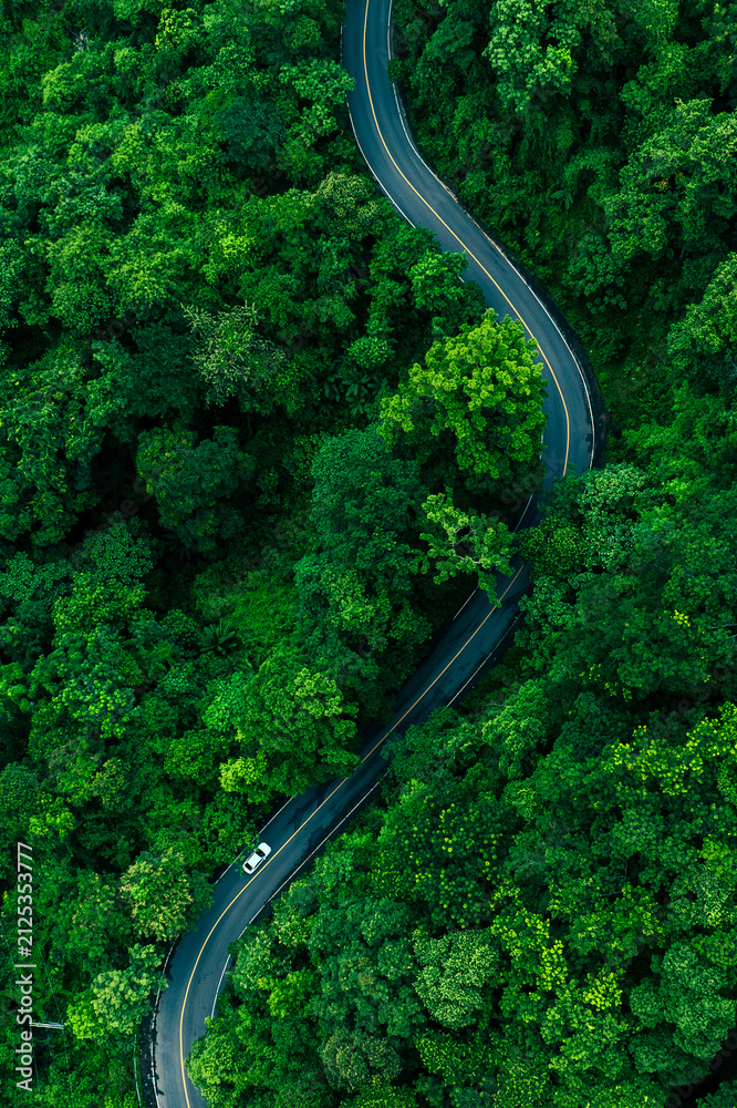 Obraz premium Aerial forest road with car creating abstract background for electric vehicle, ESG, sustainability and green investment business concepts.