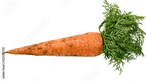 Fotografie Orange carrot with green leafy tops dirt specks, isolated on transparent backgro