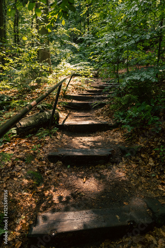 Schattiger Wanderweg mit Holzkanten-Stufen und Geländer durch einen sonnendurchfluteten, grünen Laubwald im Sommer.